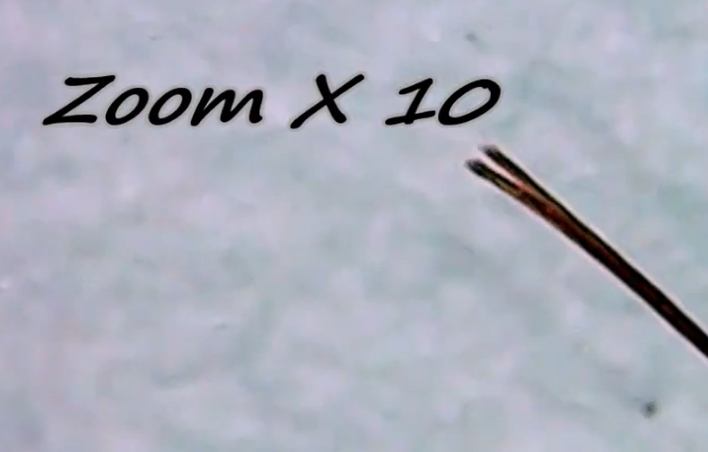 Image is not available