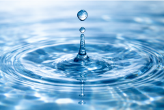 Distilled Water Soap